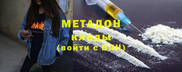 твердый Гусев